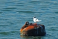 17 01 15_0326_edited-3